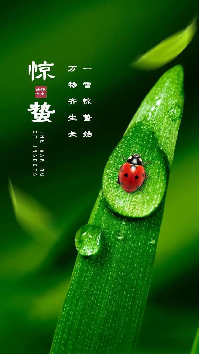 健康科普｜惊蛰节气中医养生指南