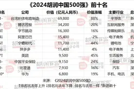 河南7家企业上榜，2024胡润中国500强出炉图片