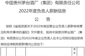茅台集团高管2022年“工资条”公布：董事长、总经理税前报酬均为100万元图片