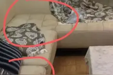 离谱！女生自称退租被房东提“无理要求” 网友支招图片