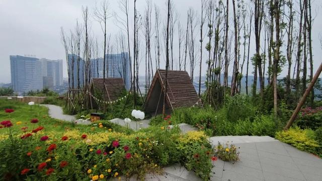 可赏景、慢跑、骑行……宜宾高品质城市绿道正在“上新”