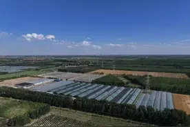 东营区：冬日里项目建设“热火朝天”图片