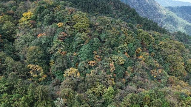 现在的黔南，已经美成这样了→