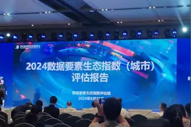 各大城市数据要素生态发展情况如何？看这份报告怎么说图片