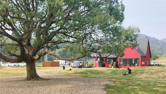 朋友圈被问爆了！不在国外，在舟山！