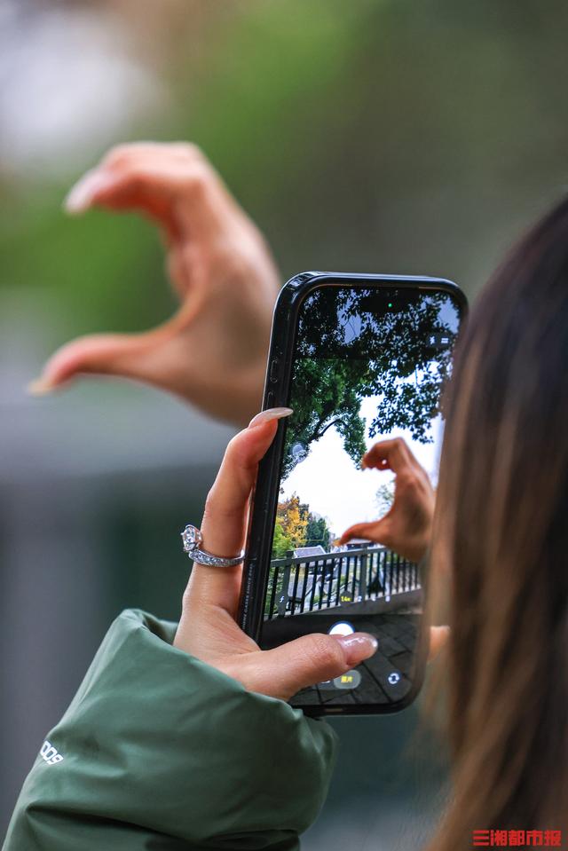 我是刘贵香 |  岳麓山上