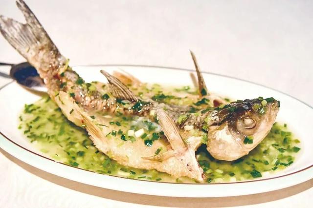 跟着演唱会游梧州丨下一站，梧州！