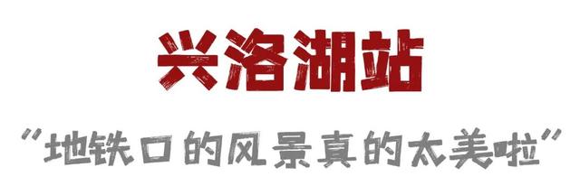 今儿起，在洛阳能边坐地铁边摸「文物」啦！