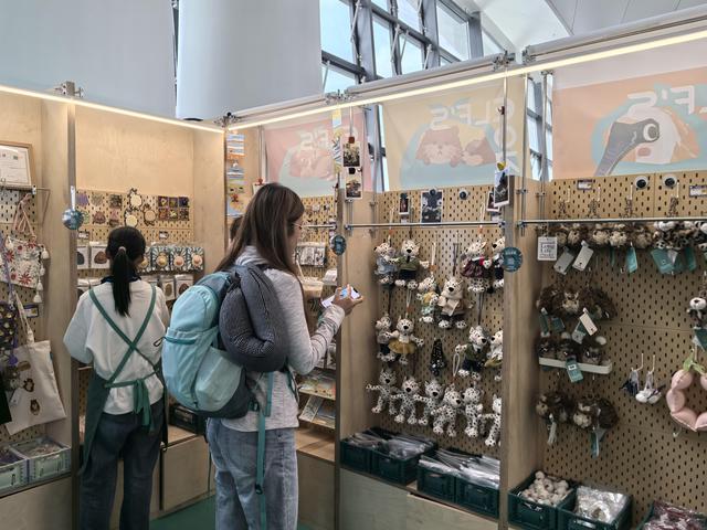 文旅为笔绘就融合画卷 航空为翼赋能经济腾飞