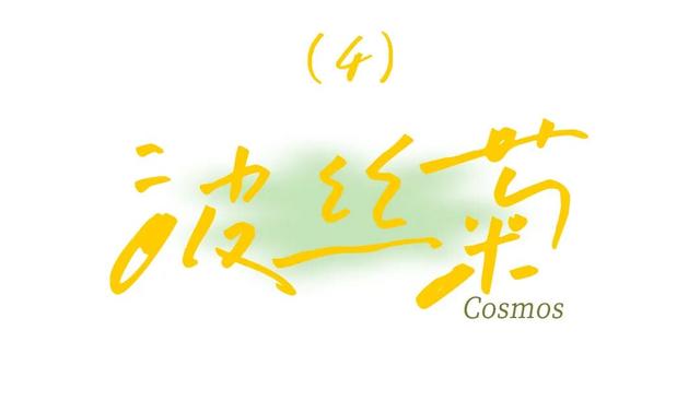我宣布：高明的秋天开始了！
