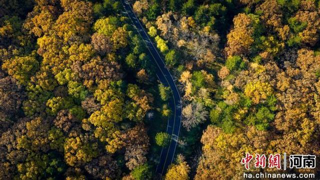 河南洛阳：白云山秋景如画