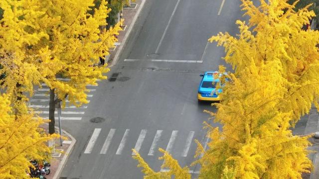 日照街道的这些地方！美极了！