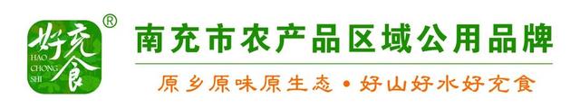 寻迹朱德故里，赓续红色血脉——青芒入川实践团赴四川南充开展红色教育实践活动