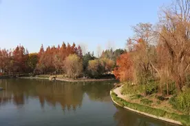 藏不住啦！这里的冬日“调色盘”已上线图片