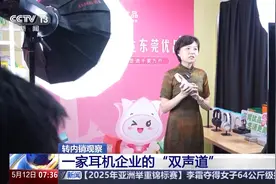 转内销观察丨耳机企业如何在内外贸市场奏响 “双强音”图片