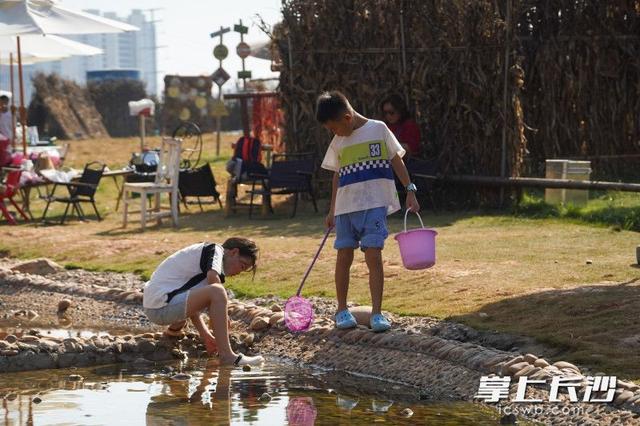 抓鸡摸鱼、彩虹滑道……长沙溪野花田解锁假期遛娃新玩法丨组图