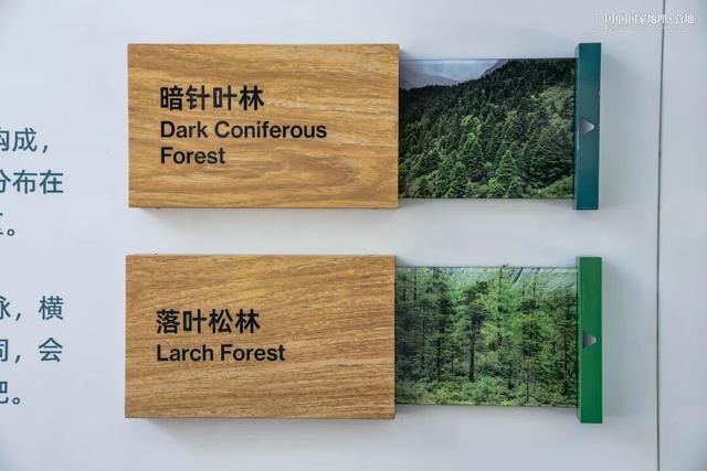 波密零碳自然驿站矩阵落成