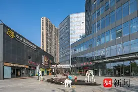 法拍观察|1.35亿元易主！南京鼓楼世茂52+部分房产完成法拍图片