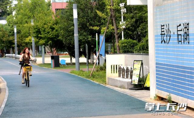 组图｜艺术后湖好打卡