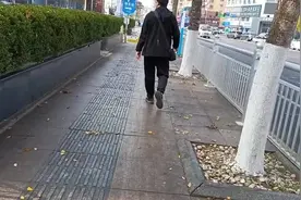 烟台民意通丨行道树“滴油” 路面黏糊糊黑乎乎 市民：一年两季扰民，可否考虑更换树种图片