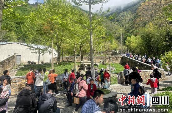 汶川：“清凉经济”激活消费新活力