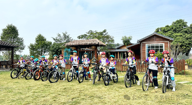 三水的秋天藏在这里！7个必去的研学打卡点，遛娃、学习、赏秋景全不误！