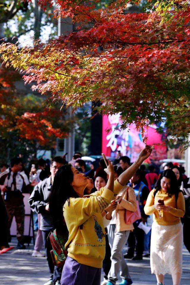 “CHUA”的一下，65%！