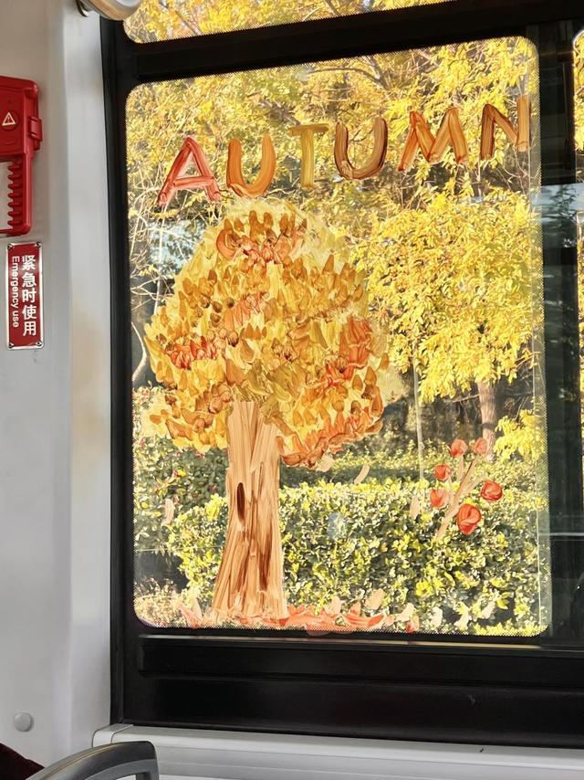 市北巴士219路：开进金色童话的公交车