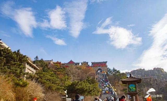 组图丨岱宗初冬暖光漫 红果松影醉游人