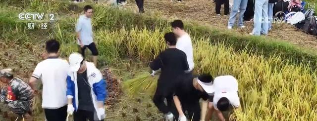 多彩秋日让游客“留下来赏秋、住下来体验” 带火多样化文旅消费