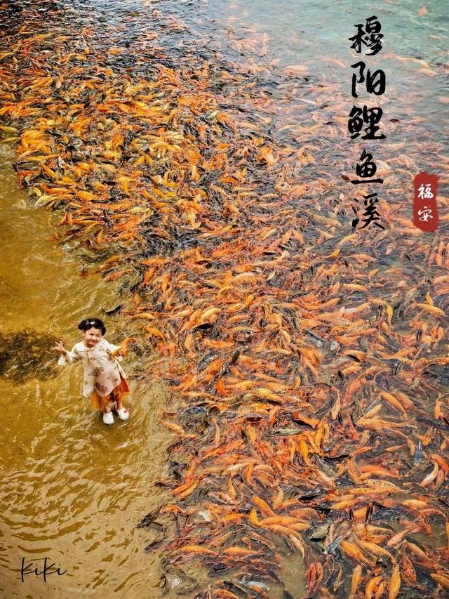 别再说福安没地方玩！会玩的人都去这座小镇“踏溜”了！