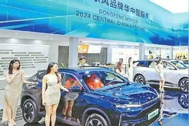 跻身全国第一梯队 武汉会展推开触摸世界的窗口图片