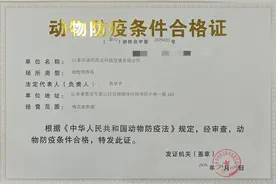 泰山区颁发首张特色养殖动物防疫条件合格证图片