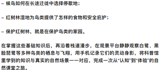 观鸟东寨港· 把一片红树林带回家