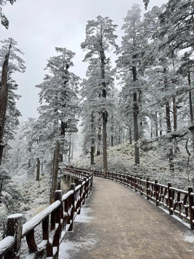 瓦屋山百万游客倒计时！“天选锦鲤”即将诞生，解锁独一份的重磅惊喜！这份天降好运会是你的吗？！