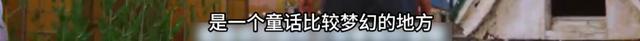 云南一景区雕塑画风诡异？网友吵翻！园方回应：体现童真，天马行空受孩子欢迎