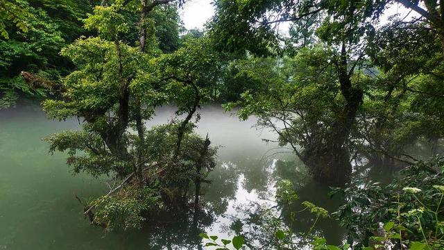 诗画鹤峰：晨光中的董家河