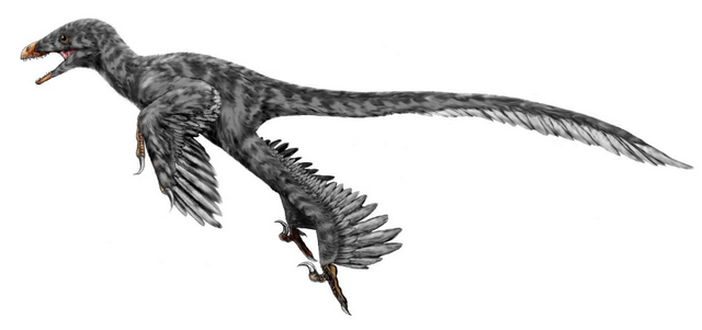 灵魂干饭“龙”从来不挑食？它的秘密全都写在下巴上了！