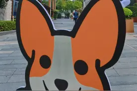 “携宠出游”的风吹到了上博、外滩！“毛孩子”化身流量入口，“它经济”拓展消费场景图片