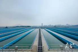 南方观察｜以头号力度助力“百千万工程”，东莞国资国企这样干图片