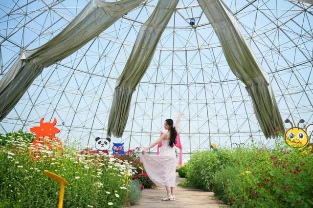 感恩有您，师恩如光 | 临沂景区教师节专属福利来啦