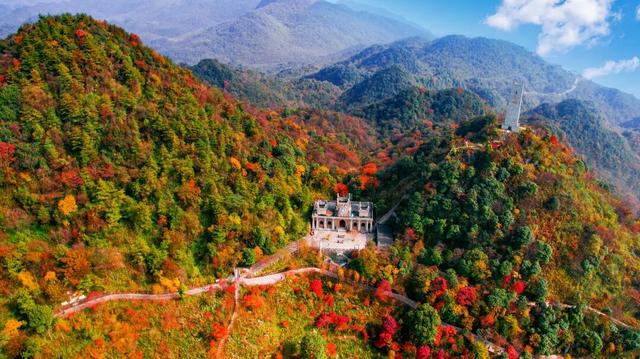 跟着川超游绵阳 | 回阿广：绿茵会知己，诗酒敬相逢！