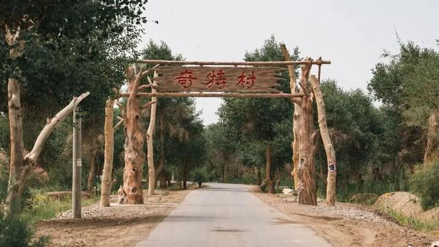 跟着赛事去旅行｜胡杨天路 壮美苍穹！