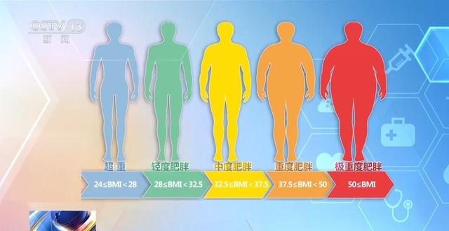 朝“问”健康丨断碳水就是不吃主食？这份科学减重指南请收好