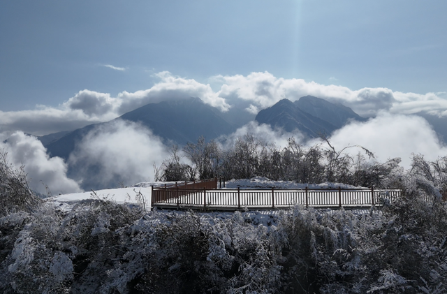 青睐绵阳 || 冰雪奇观+雪地撒欢！平武虎牙滑雪场即将开放，这个冬天等你来畅玩~