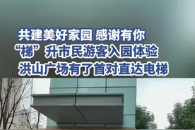 共建美好家园 感谢有你｜有了它，500万人轻松进出洪山广场图片
