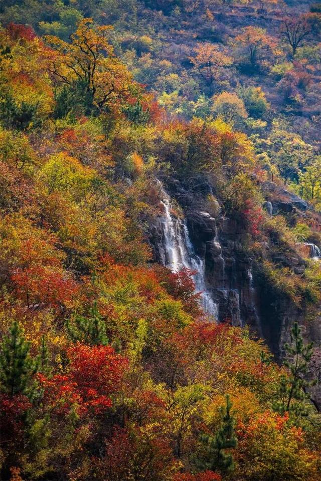 中秋国庆来畅玩山野！潭溪山秋色正在加载中，红叶大片先收藏→