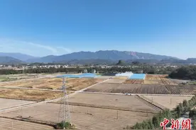 湖南江永“小田并大田”促“低产变高产”图片