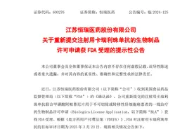 恒瑞医药“双艾”疗法再闯关FDA，行业新模式下创新药“出海”更汹涌图片