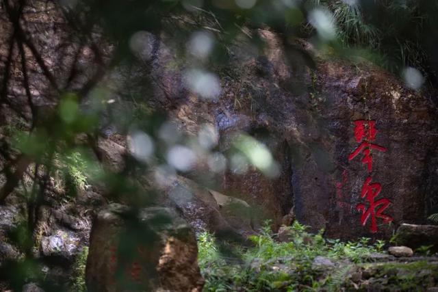 上新！珠海绝美公园！